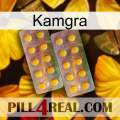 Kamgra new10